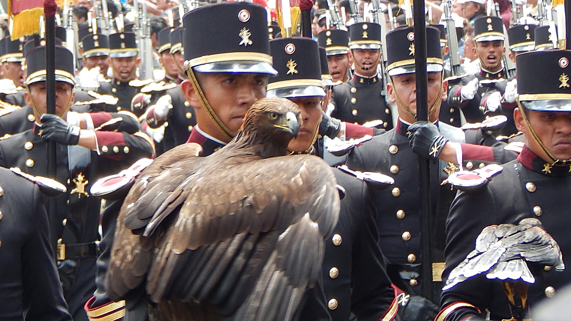 Desfile 16 de septiembre en Jalisco. ¿A qué hora es y cuál es la ruta?